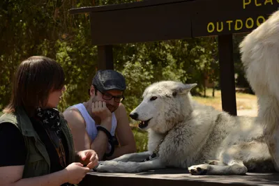 DSC_1656 (Large).JPG